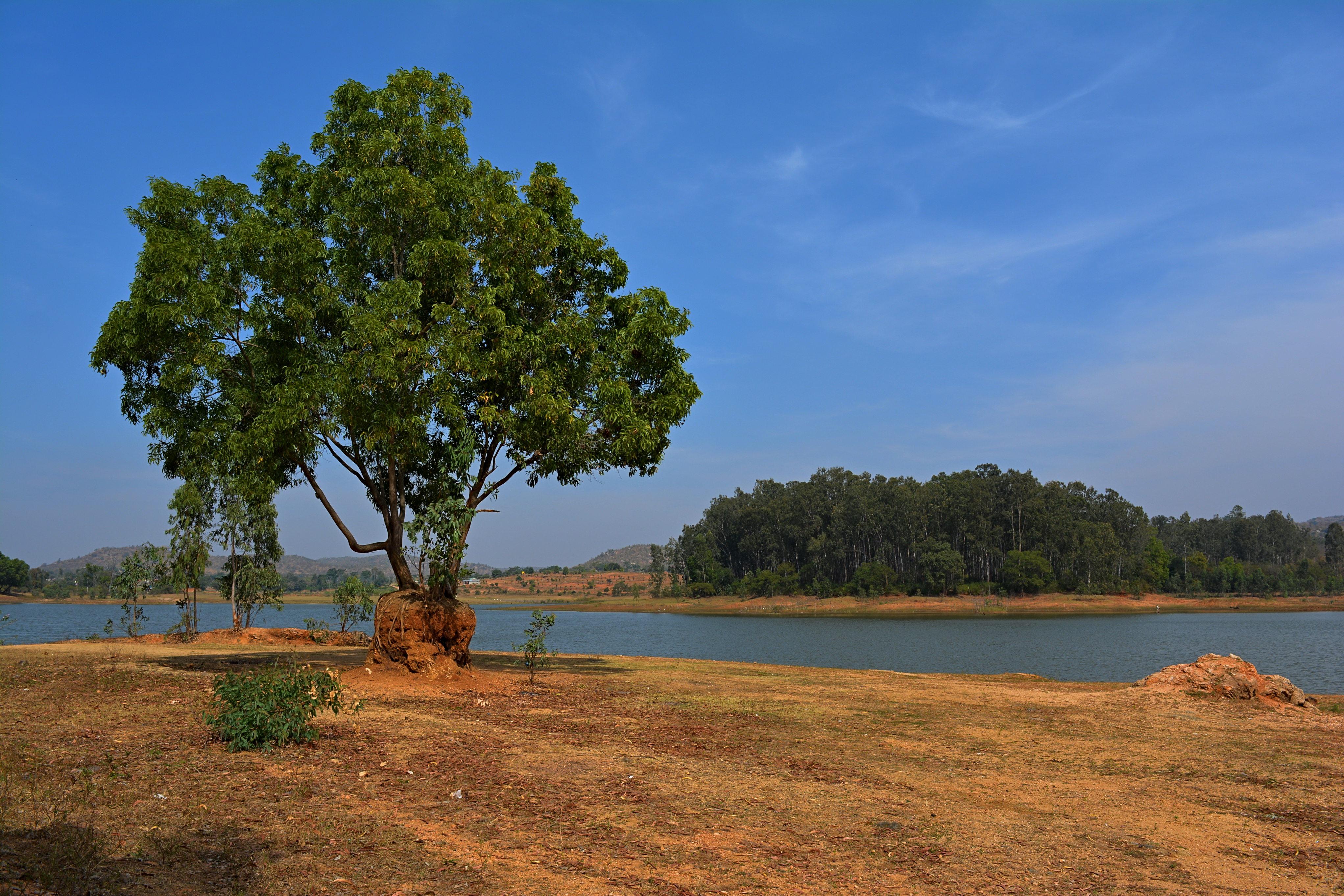 Thattekere Lake